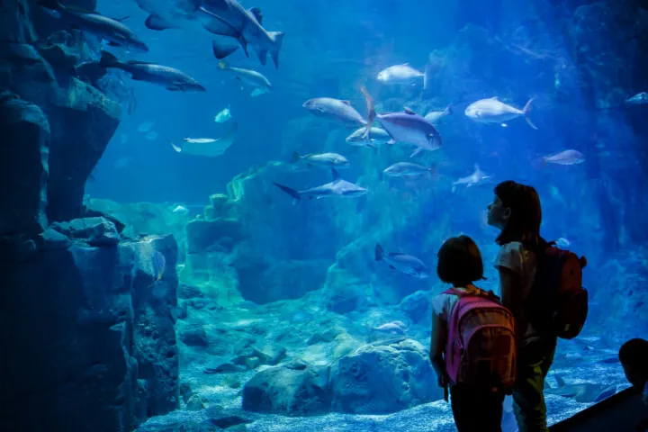 さいたま水族館