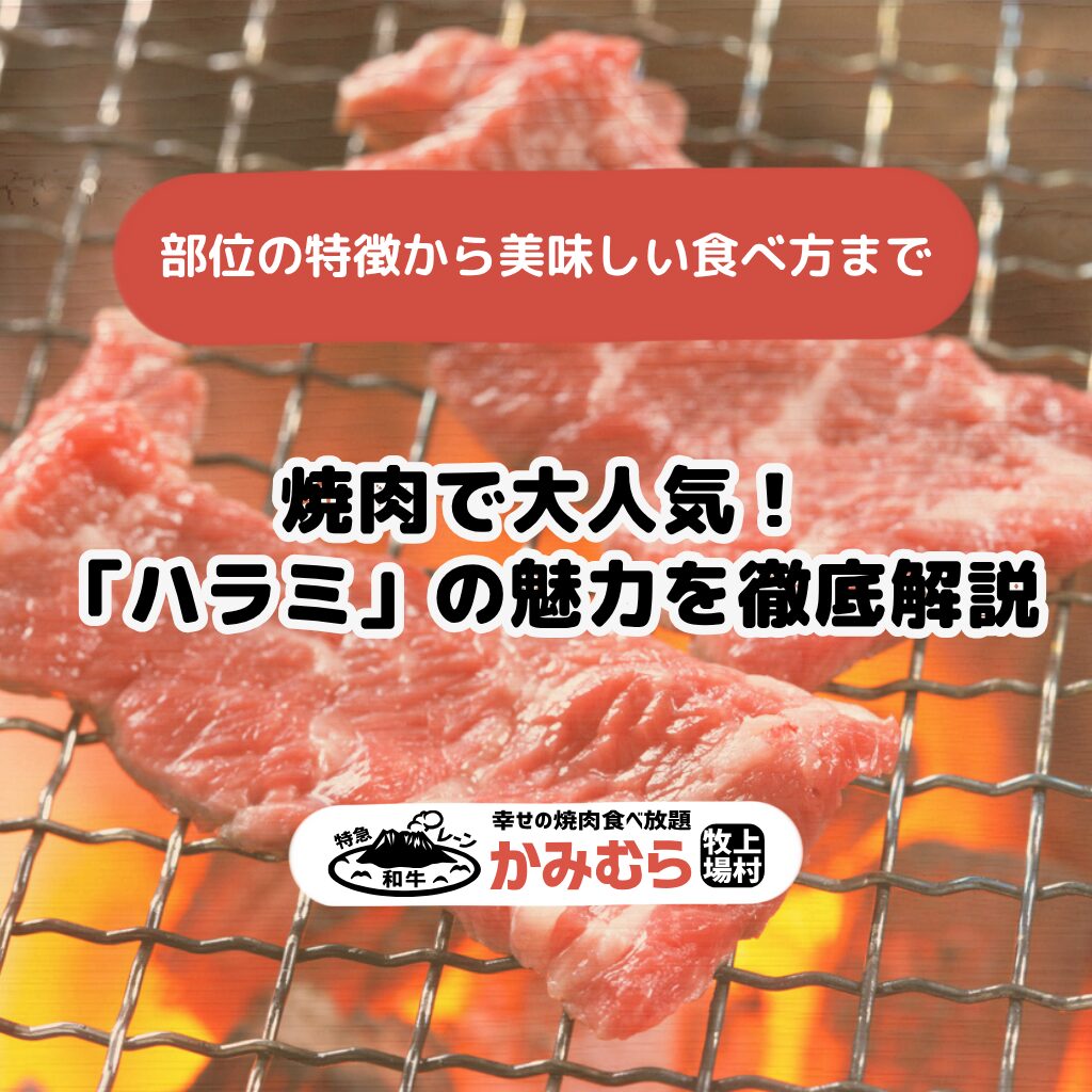 焼肉で大人気！「ハラミ」の魅力を徹底解説｜部位の特徴から美味しい食べ方まで