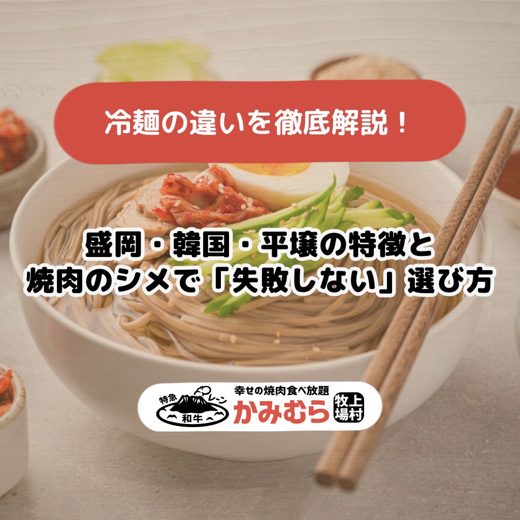 冷麺の違いを徹底解説！ 盛岡・韓国・平壌の特徴と焼肉のシメで「失敗しない」選び方